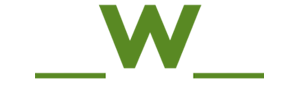 Softech Web Solutions